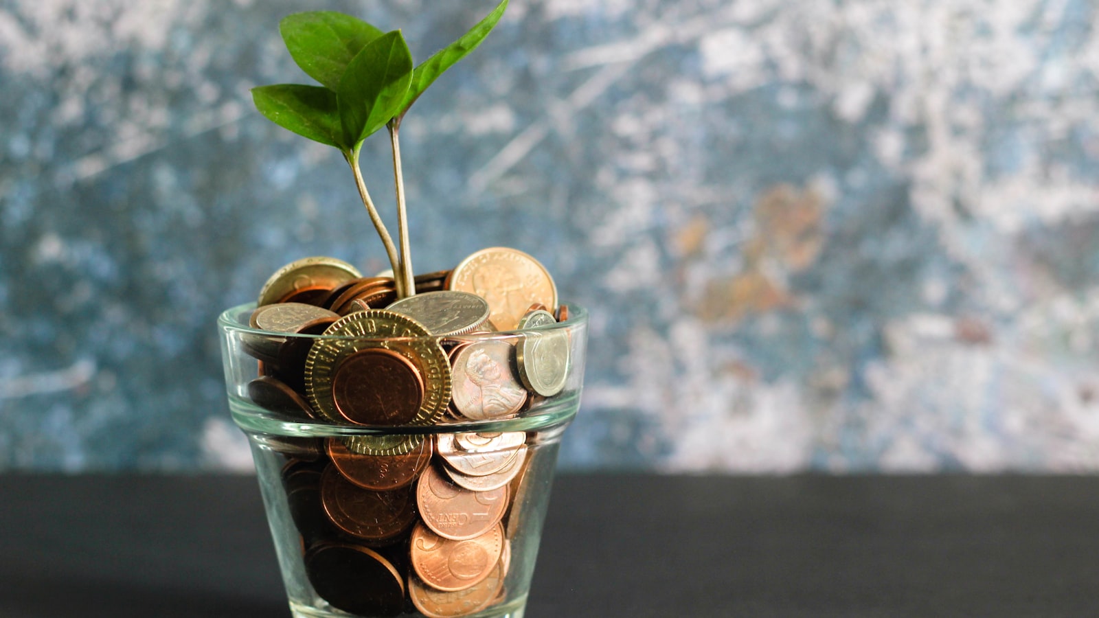 Plante et pièces dans un vase, revenus qui grandissent
